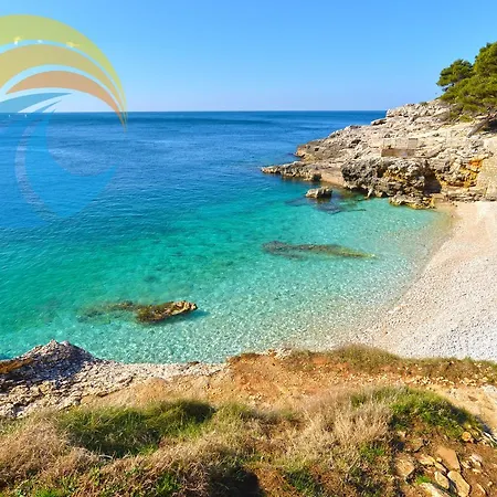 Ivanka 1056 * Πούλα